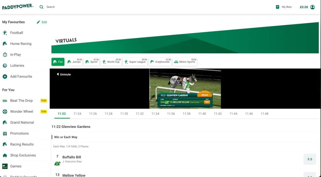 Paddy Power virtual horse racing page