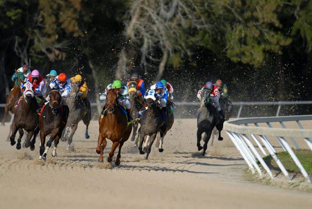 Horse racing in action